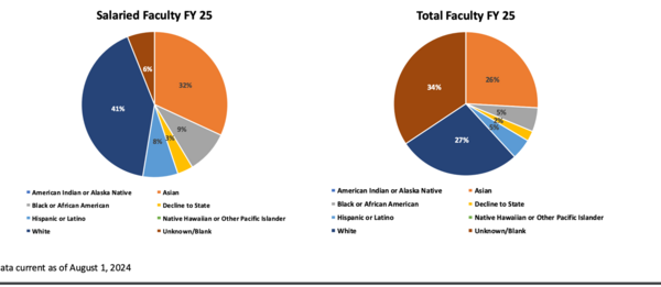 Pie chart of faculty by ethnicity