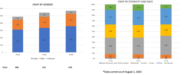 chart showing staff gender and ethnicity breakdown