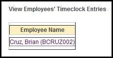view employees timeclock entries